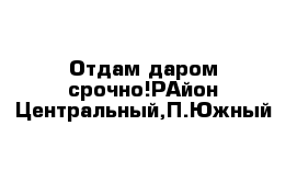 Отдам даром срочно!РАйон Центральный,П.Южный